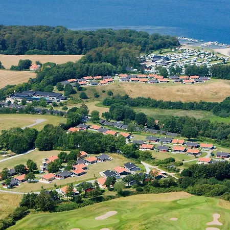 Xxi Aabenraa